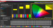 CalMAN professional color accuracy