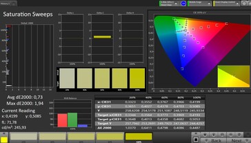 CalMAN Saturation – Default settings without True Tone