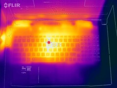 Stress test - top