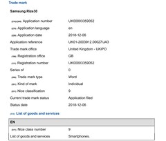 Samsung Rize30 trademark details (Source: European Union Intellectual Property Office)