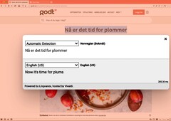 Vivaldi 4.2 in-browser private translation in action (Source: Vivaldi Browser)