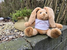 Samsung Galaxy S24 Ultra: Sample photo
