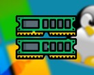 Windows 11 vs Linux RAM usage has been tested.