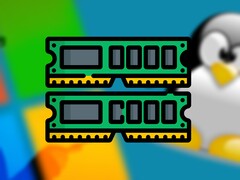Windows 11 vs Linux RAM usage has been tested.