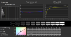 CalMAN - grayscale tracking (after calibration)