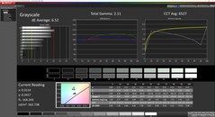 CalMAN Grayscale (Profile: Display P3)