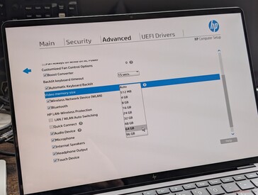 Options of up to 96 GB for the GPU. HP warns that "excessive video memory size" might impact overall system performance