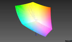 vs. sRGB: 99.5 % (Argyll, 3D overlap)