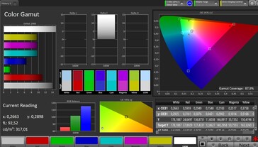 CalMAN sRGB color space