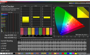 CalMAN: Mixed Colours – Cinema (DCI-P3 target colour space)