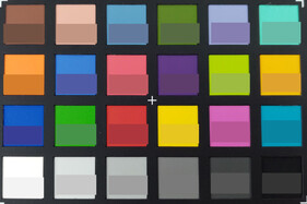 Photo of ColorChecker colors. The reference color is in the bottom half of each field.