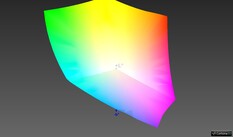 vs. sRGB: 100% (Argyll 3D comparison)