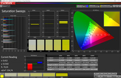 Color saturation (professional mode, target color space sRGB)