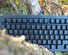 The Gmmk 3 Pro HE 75% keyboard (Image source: Notebookcheck)