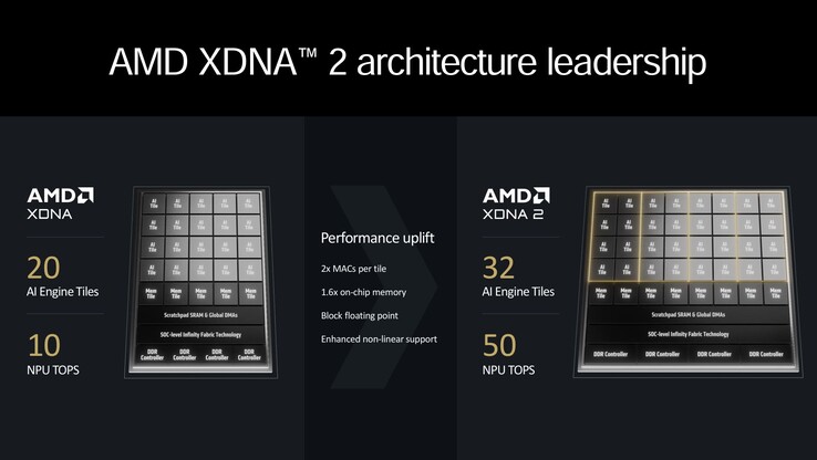 Overview of AMD XDNA2 (source: AMD)