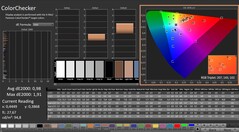 CalMAN: ColorChecker (calibrated)