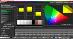 CalMAN ColorChecker (target color space P3)