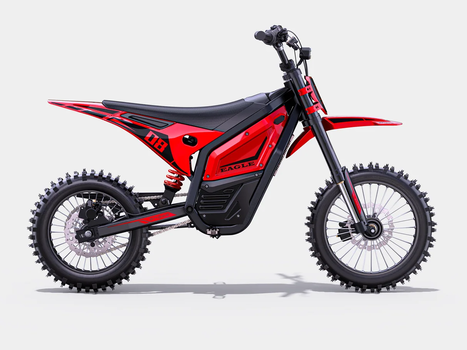 Engwe Eagle electric dirt bike