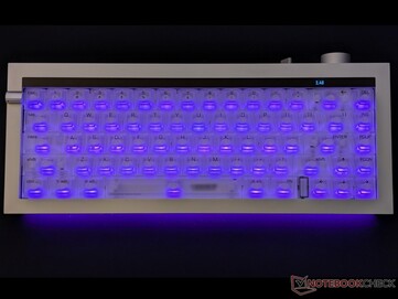 Backlight set to purple.
