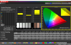 CalMAN ColorChecker (P3)