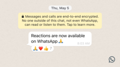 Reactions come to WhatsApp. (Source: WhatsApp)