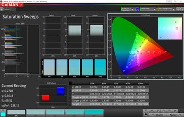 Saturation (sRGB target color space)