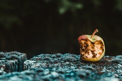 Serving straight up vaporware makes for a rotten Apple (Image Source: Unsplash) 