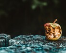 Serving straight up vaporware makes for a rotten Apple (Image Source: Unsplash) 