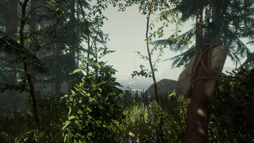 An image showing a landscape and a boat in The Forest.
