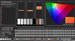 CalMAN: ColorChecker (calibrated)