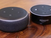 Amazon's Alexa-enabled Echo Dot speakers have sold out for the month. (Source: TechWiser)