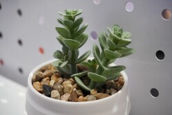 This print looks convincing!