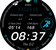 Depending on the watch face, additional information may also be shown