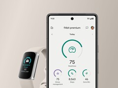 Fitbit users have reported several issues with the new Readiness score. (Image source: Fitbit)