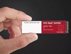 The new WD Red SN700 M.2 SSDs by Western Digital are made for NAS servers (Image: Western Digital)