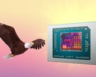 AMD Bald Eagle Point, if it isn't scrapped, could release next year. (Image source: AMD, FlashBuddy, edited)