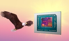 AMD Bald Eagle Point, if it isn't scrapped, could release next year. (Image source: AMD, FlashBuddy, edited)
