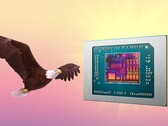 AMD Bald Eagle Point, if it isn't scrapped, could release next year. (Image source: AMD, FlashBuddy, edited)