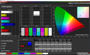 CalMan color space (sRGB target space)
