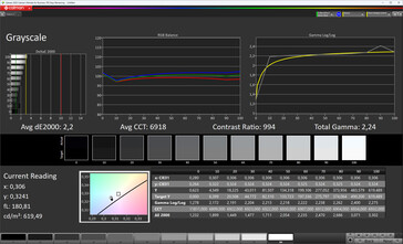 Grayscale (True Tone deactivated, sRGB target color space)