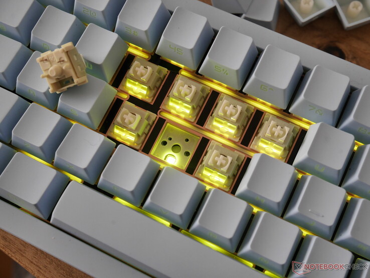 The Epomaker Lemon switches have a box stem, which minimises stem wobble without introducing too much scratchiness. 