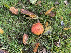 Photo taken using main camera