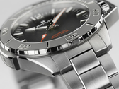 Hamilton Navy Frogman