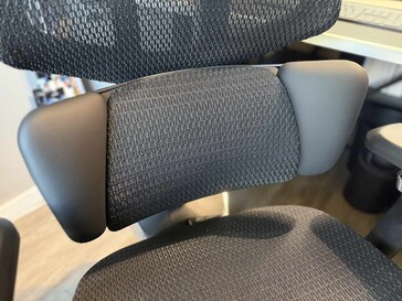 The AI Lumbar Support with Massage and Heat