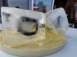 T-Rex 3 in the ice block (Photo: Daniel Schmidt)