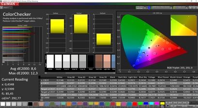 CalMAN ColorChecker (target color space sRGB)
