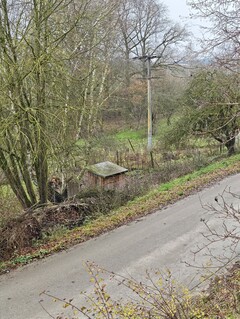 Photo taken using main camera (2x zoom)