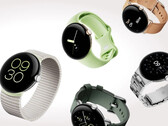 The Pixel Watch has gained another previously Fitbit-exclusive feature. (Image source: Google)
