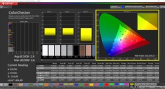 CalMAN ColorChecker (profile: sRGB, target color space: sRGB)