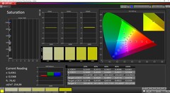 CalMAN Saturation (target color space P3)